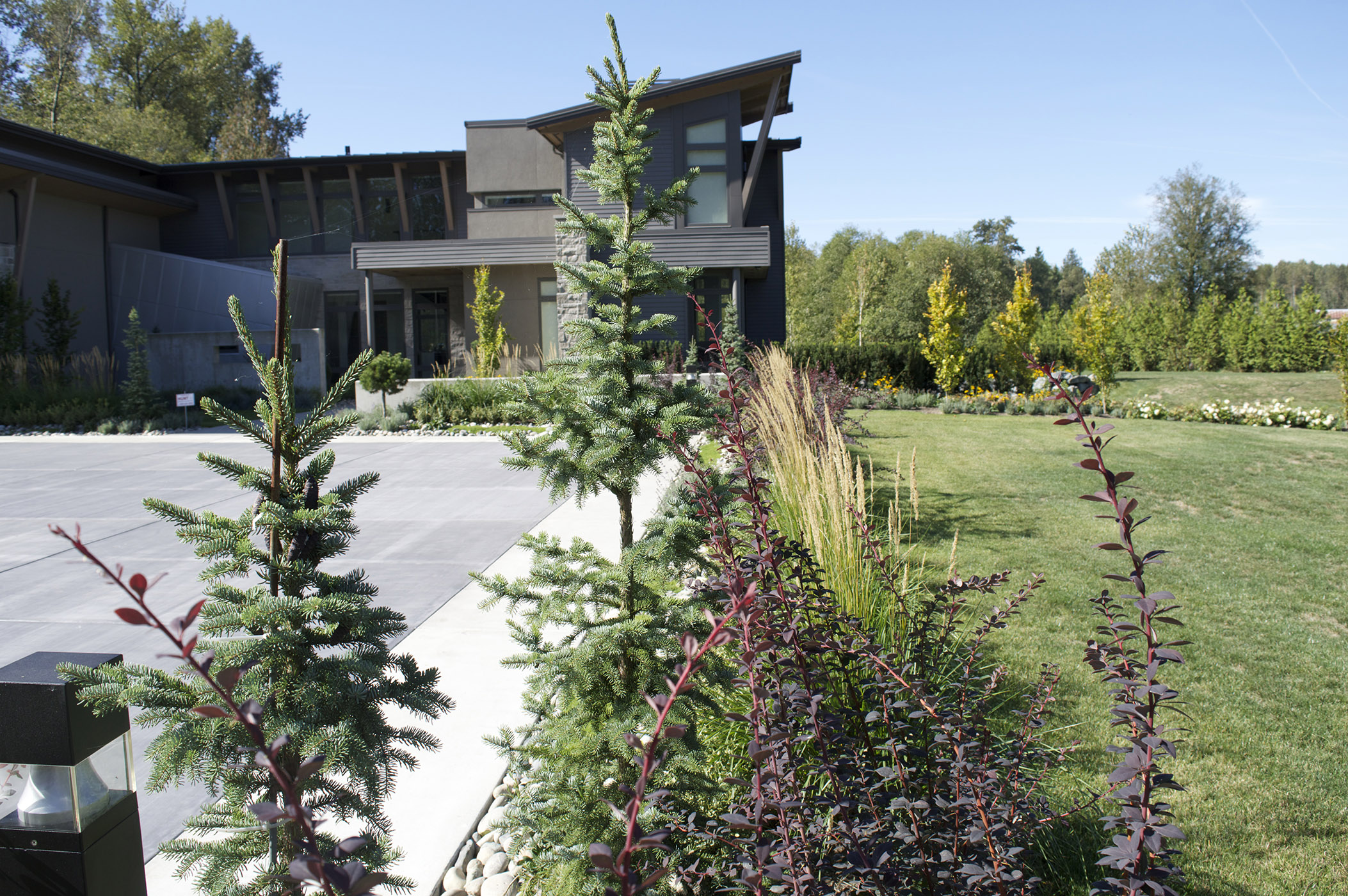 landscaping abbotsford